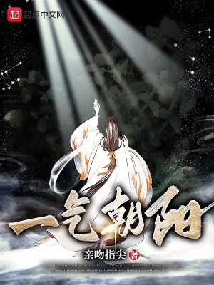 一气朝阳红尘网